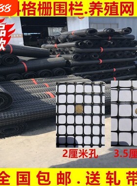 网眼菜园防护网拦鸡网鸭床网