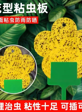 花型黄色粘虫板双面诱粘虫板小黑飞粘板家用花卉粘虫纸果蝇诱捕器