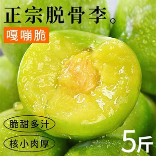 重庆巫山脆李脱骨李子5斤新鲜水果当季空心蜂糖青脆整箱包邮3脆甜