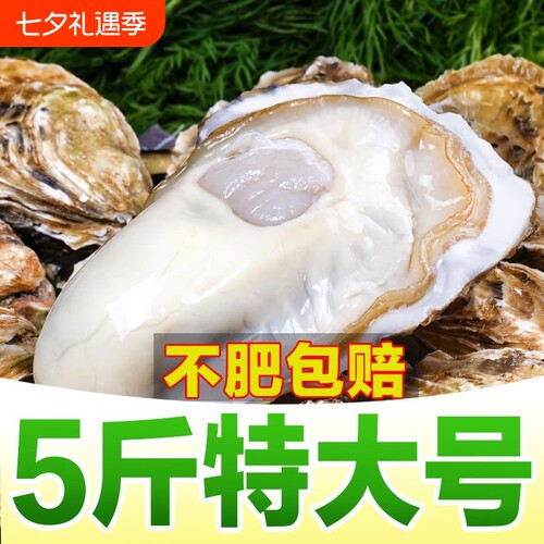 大连生蚝非乳山生蚝鲜活新鲜特大带箱海蛎子海鲜牡蛎水产