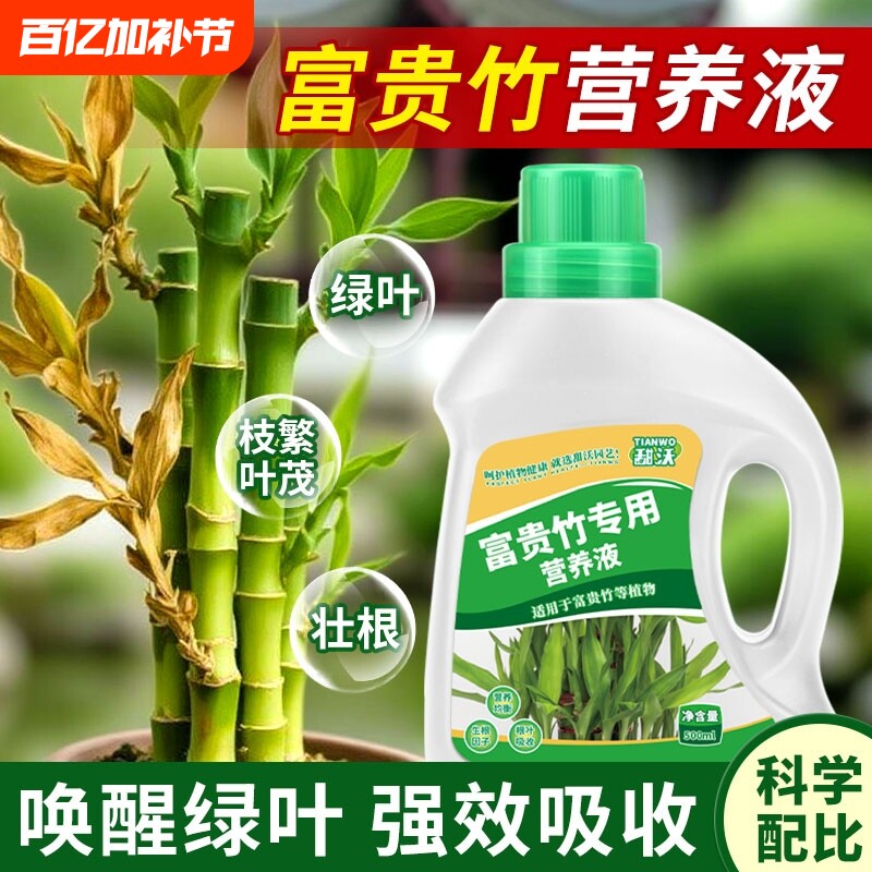 富贵竹专用营养液绿叶壮根转运竹节节高文昌竹水竹水培植物专用肥