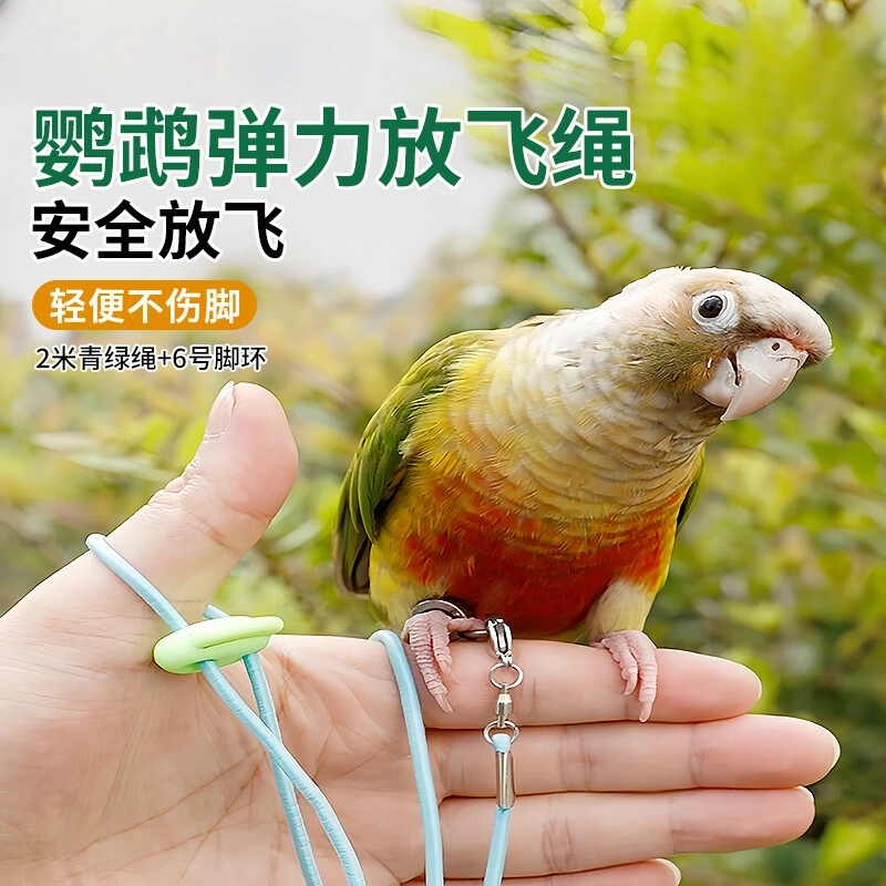 鹦鹉放飞绳超轻遛鸟牵引弹力绳户外不伤脚训练绳虎皮牡丹玄凤神器