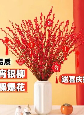 银柳真花鲜枝水培雪柳干花红梅花年宵花卉新年摆件装饰室内植物