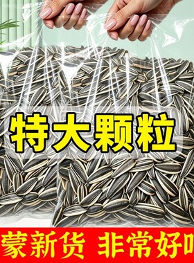 特大颗粒生瓜子原味瓜子零食批发5斤装葵花籽原味现炒熟新葵瓜子