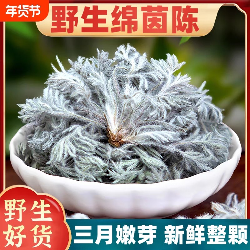 茵陈中药材500g正品野生五味子官方旗舰店新鲜白蒿三月绵茵陈泡水