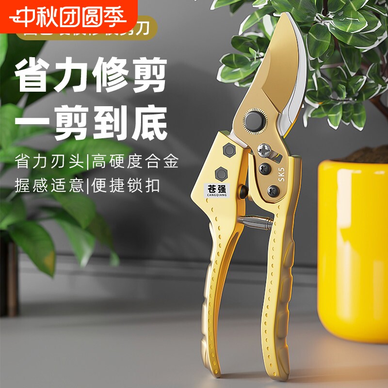 园艺剪刀剪树枝专用剪刀德系精工艺修枝剪果树剪花园林园艺弹簧图片