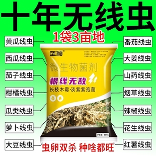 农用根结线虫专用药淡紫紫孢菌根结根瘤杀菌根线灵地下根通用菌剂