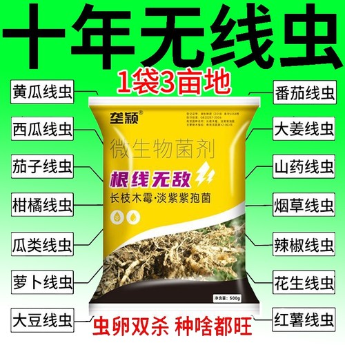 农用根结线虫专用药淡紫紫孢菌根结根瘤杀菌根线灵地下根通用菌剂
