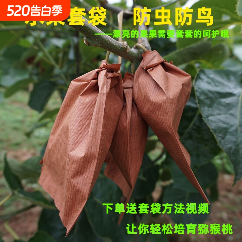 红心猕猴桃育果袋防虫防鸟袋子优质奇异果套袋单层12*16cm带铁