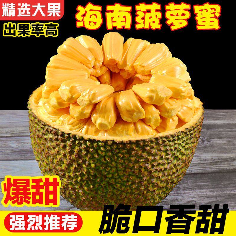 海南三亚菠萝蜜新鲜水果波罗蜜当季一整个10-40斤整箱包邮红肉