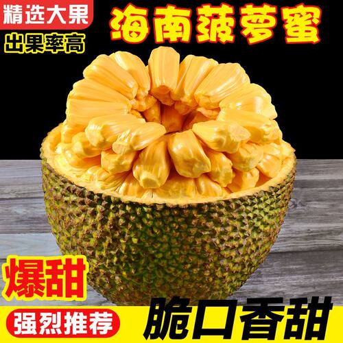 海南三亚菠萝蜜新鲜水果波罗蜜当季一整个10-40斤整箱包邮红肉