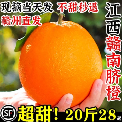 正宗江西赣南脐橙新鲜水果整箱当季甜橙子果冻橙赣州产地直发现摘