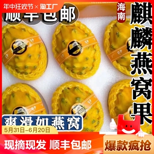 海南燕窝果麒麟果5斤当季新鲜黄皮白心火龙果热带水果顺丰礼盒