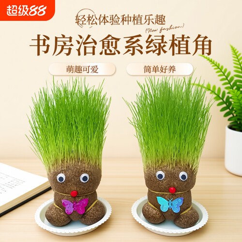 趣味长草娃娃小盆栽简单好养