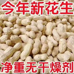 2026年生花生带壳晒干农家自产新货壳薄精选种子高产粉皮生花生