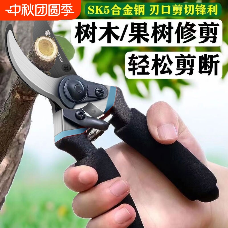 剪枝果树修枝剪刀园艺修剪树枝园林修花枝剪家用剪子摘果神器弹簧图片