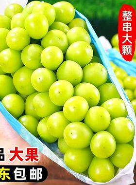 阳光玫瑰葡萄新鲜水果礼盒晴王香印青提5斤批发整箱提子自提精品