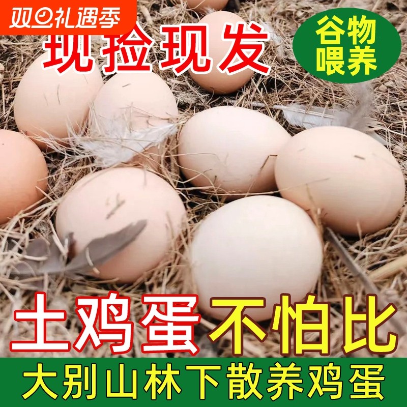 土鸡蛋大别山林下散养初生蛋虫草鸡蛋营养高±50g无抗谷物鲜鸡蛋
