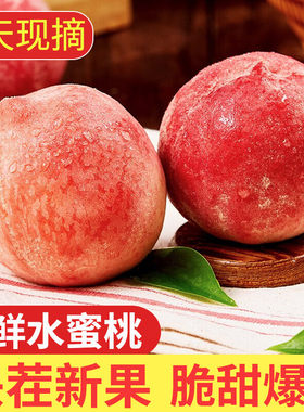 山西水蜜桃毛桃脆甜新鲜水果5斤