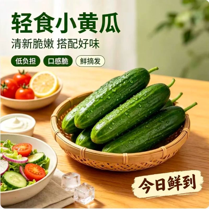 寿光产地水果小黄瓜新鲜黄瓜甜脆爽口小青瓜蔬菜农家自种生吃即食