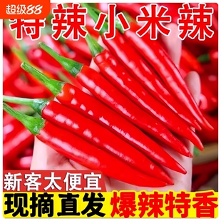 小米辣椒新鲜特辣朝天商用批发小米椒5斤红椒指薄皮辣椒农家自种