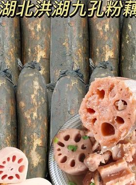 正宗洪湖粉藕现挖莲藕煲汤炖汤新鲜糖藕糯米藕九孔藕红藕粉糯香甜