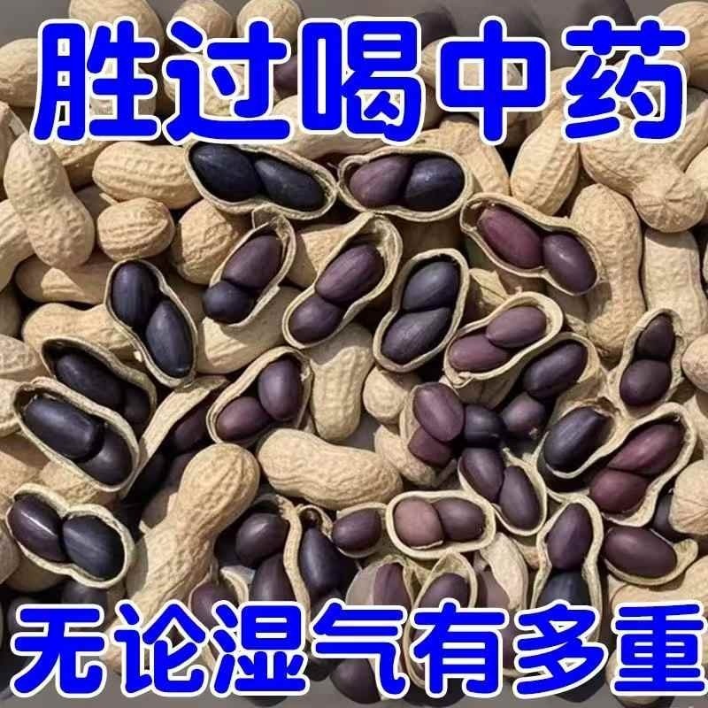 原味富硒黑花生带壳大粒黑皮花生米500g云南特产晒干七彩新货新鲜