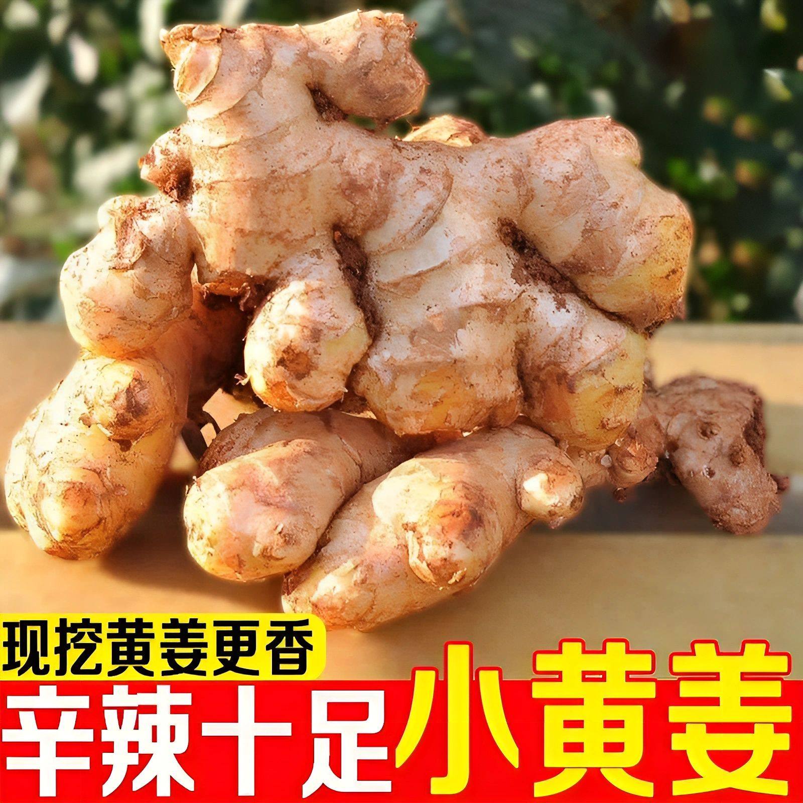 【现挖小黄姜】高山小黄姜正宗鲜姜农家嫩生姜辛辣味足蔬菜老姜,水产肉类/新鲜蔬果/熟食,生姜/南姜,淘宝优惠券,粉丝福利购,淘宝优惠卷