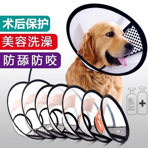伊丽莎白圈猫咪狗狗头套防舔