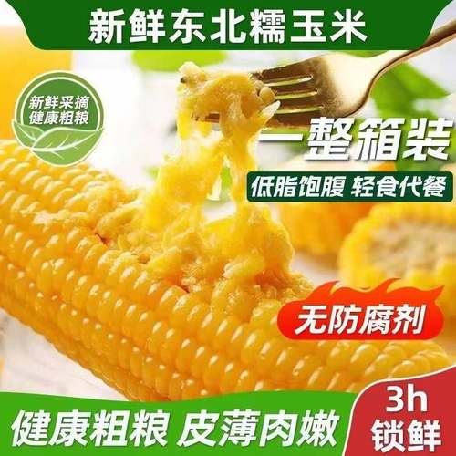 东北香甜糯玉米真空锁鲜新鲜美味低脂饱腹代餐软糯香甜粗粮糯苞米