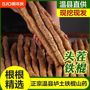 垆土铁棍山药河南焦作温县原产直发新鲜采挖正宗怀淮山药礼盒铁杆
