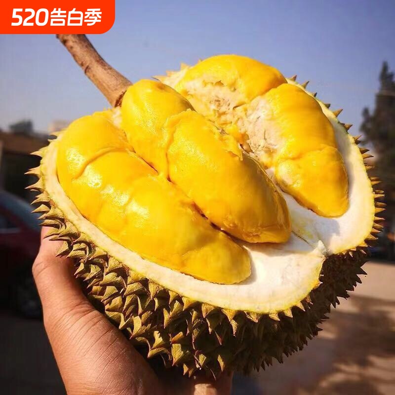 正宗泰国鲜榴莲树熟带壳一整颗鲜果整果干包核小香甜软糯顺丰包邮