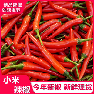 小米辣椒新鲜5斤批发朝天椒特辣泡椒红小尖椒指天椒超辣红辣椒