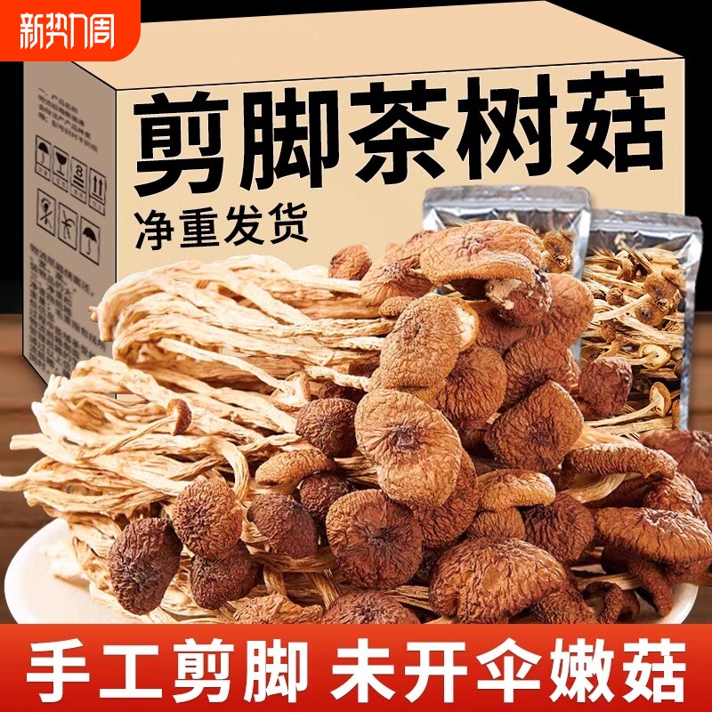 甄选茶树菇干货不开伞2024新货云南农家新鲜煲汤香菇蘑菇500g