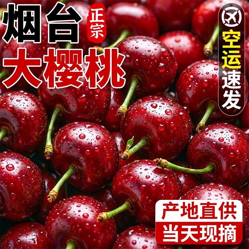 山东烟台大樱桃新鲜水果国产车厘子当季大樱桃脆甜5斤空运包邮