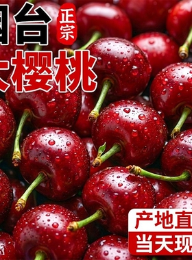 山东烟台大樱桃新鲜水果国产车厘子当季大樱桃脆甜5斤空运包邮