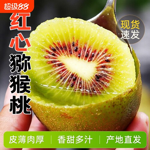 正宗生鲜红心猕猴桃奇新鲜异果当季现摘弥猴桃孕妇水果整箱包应季