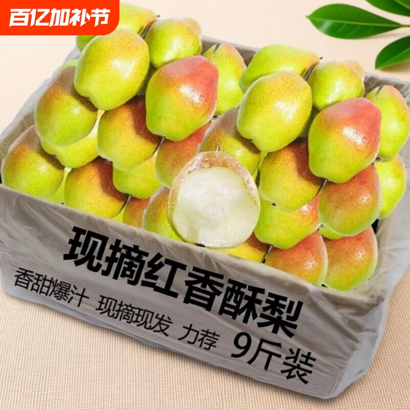 正宗新鲜红香酥梨8.5斤应当季红皮梨甜薄皮梨子酥梨蜜梨水果现摘