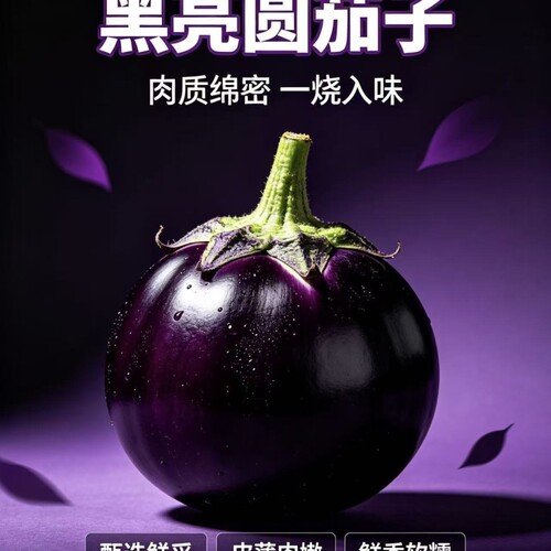 新鲜紫圆茄子现摘农家自种紫光圆茄皮薄肉嫩少籽不吸油时令蔬菜