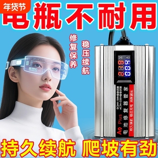 进口新款电动车电瓶修复器铅酸电池通用自动脉冲充电激活续航神器