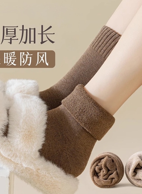 小腿袜子女士秋冬季加绒加厚保暖长袜毛圈毛巾袜外穿发热黑色白色