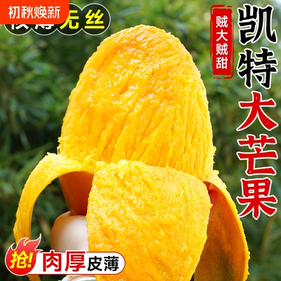 攀枝花凯特芒大果薄核甜芒