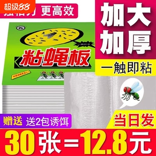 苍蝇贴强力粘蝇纸粘蝇板自带诱饵灭蝇神器苍蝇捕捉纸饭店捕蝇双面