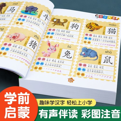 识字大王幼小衔接宝宝早教书籍