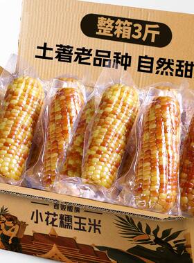 5斤太西双版纳花糯玉米小棒黏糯玉米彩糯玉米甜黏玉米真空早餐