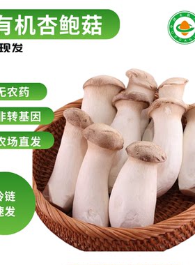 云南新鲜杏鲍菇鸡腿菇