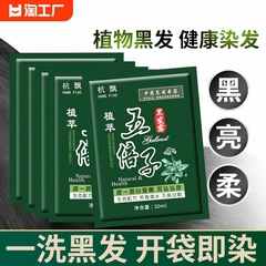 一洗黑植物纯正品染发剂染发膏天然五贝子袋装养发盖白发头发洗发