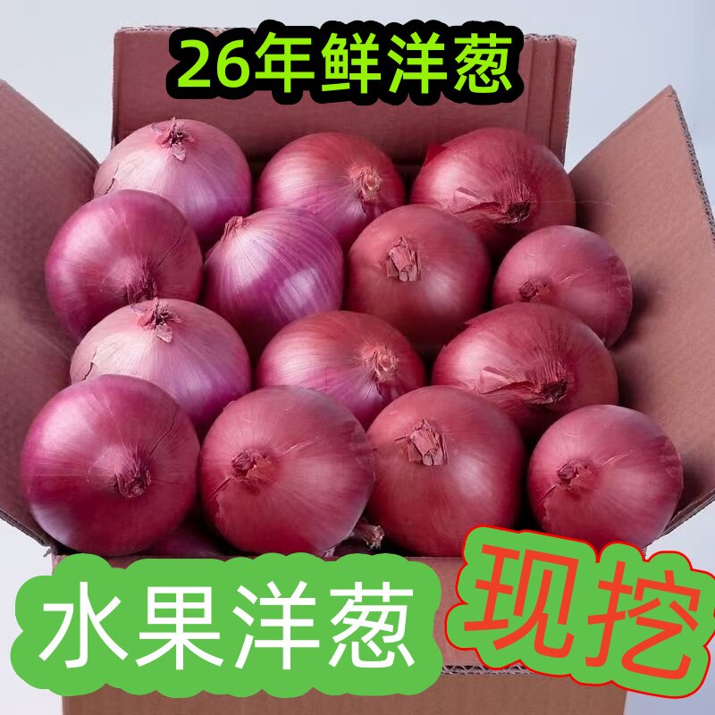 整箱9斤紫皮洋葱生吃专用辣味蔬菜圆葱水果洋葱
