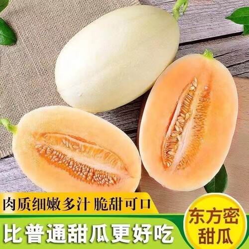 东方蜜甜瓜红肉新鲜香瓜水果白蜜瓜现摘整箱脆甜香甜好吃