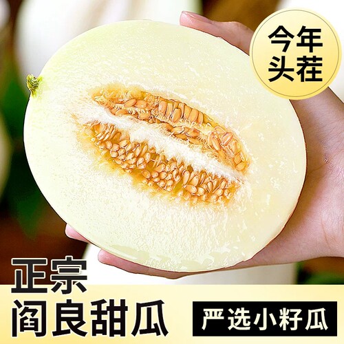 陕西阎良甜瓜新鲜香瓜应季当季孕妇时令水果头茬蜜瓜10斤整箱羊角